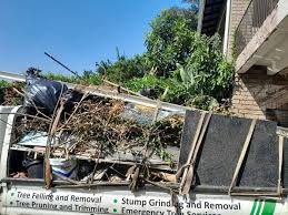 Best Construction Debris Removal  in Hayfield, MN